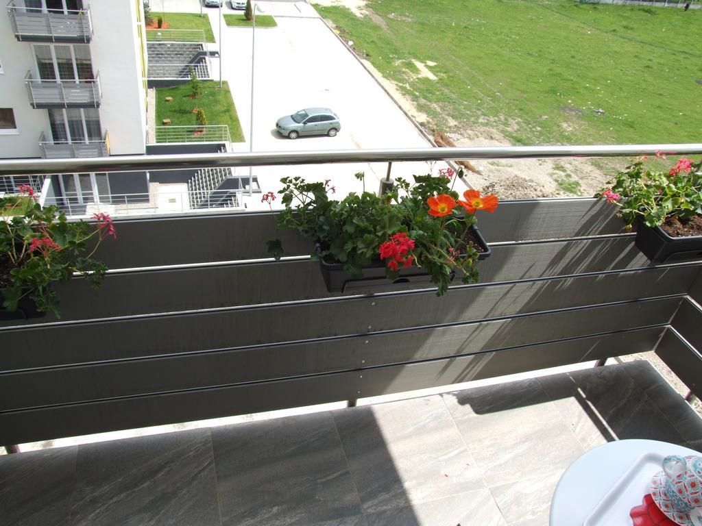 Anca Apartment Brasov Exterior photo
